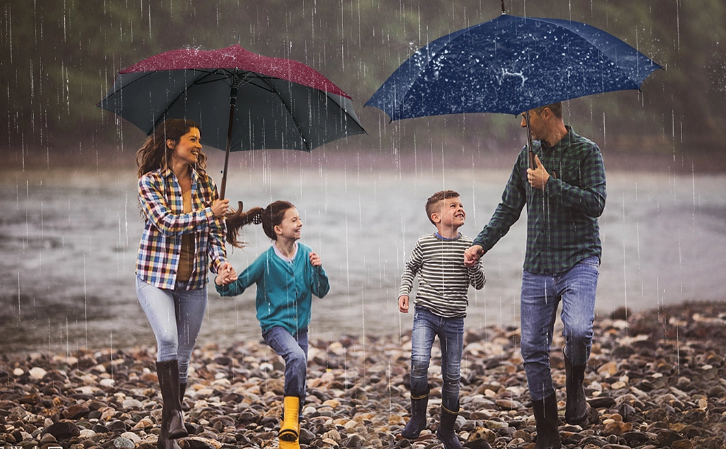 Auto Open Wooden Handle Stick Aluminum Umbrella for Man or Family