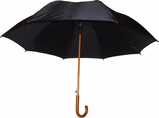 Fancy Gift Single Layer Wood Shaft and Handle Fiberglass Frame Large Custom Digital Print Automatic Golf/Straight Umbrella