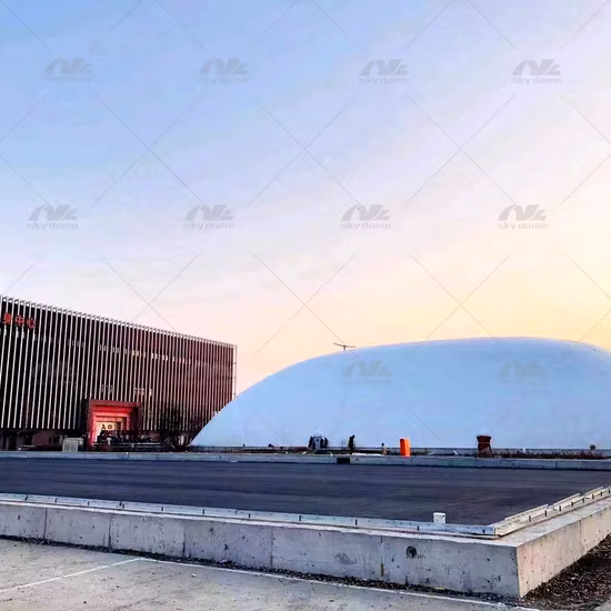 Clear Bubble Umbrella Party Thyme -Pop-up Stick Canopy, Sun/Rain Travel-Large Dome Umbrella, Love Is in The Air